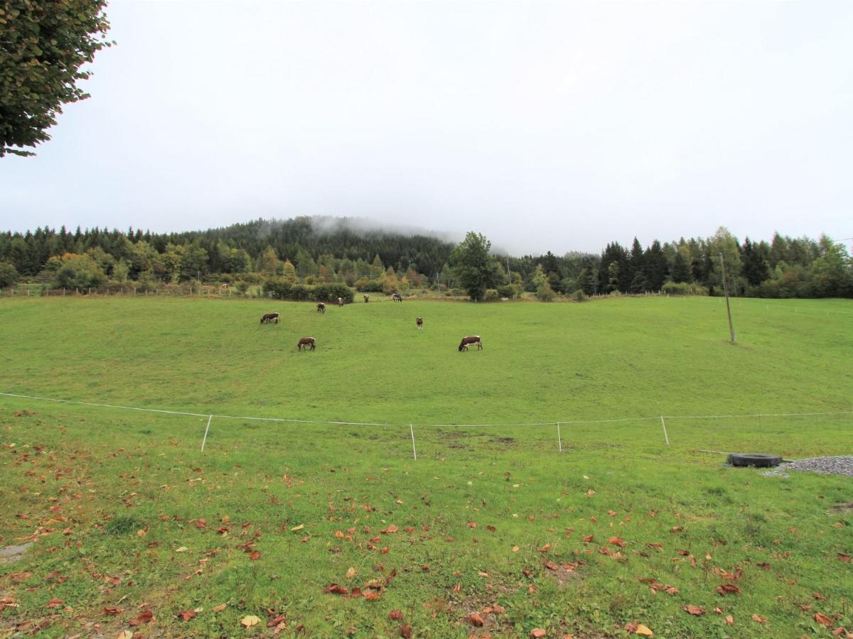 Beautiful Apartment In A Renovated Farmhouse In Fresach Carinthia מראה חיצוני תמונה